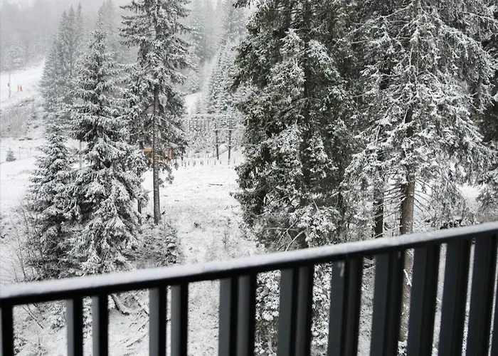 Ambar * 亚霍里纳